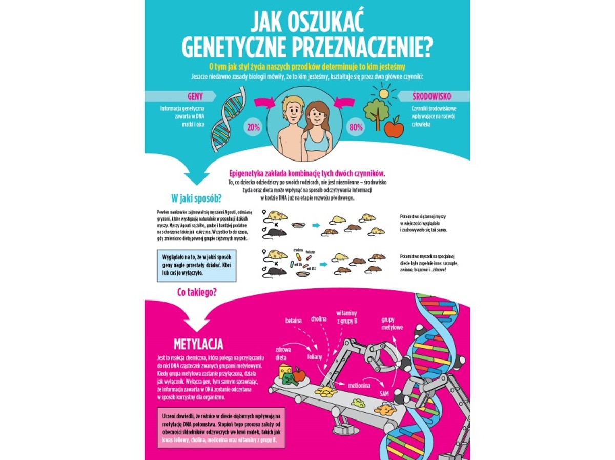 Co oprócz genów warunkuje nasze życie?