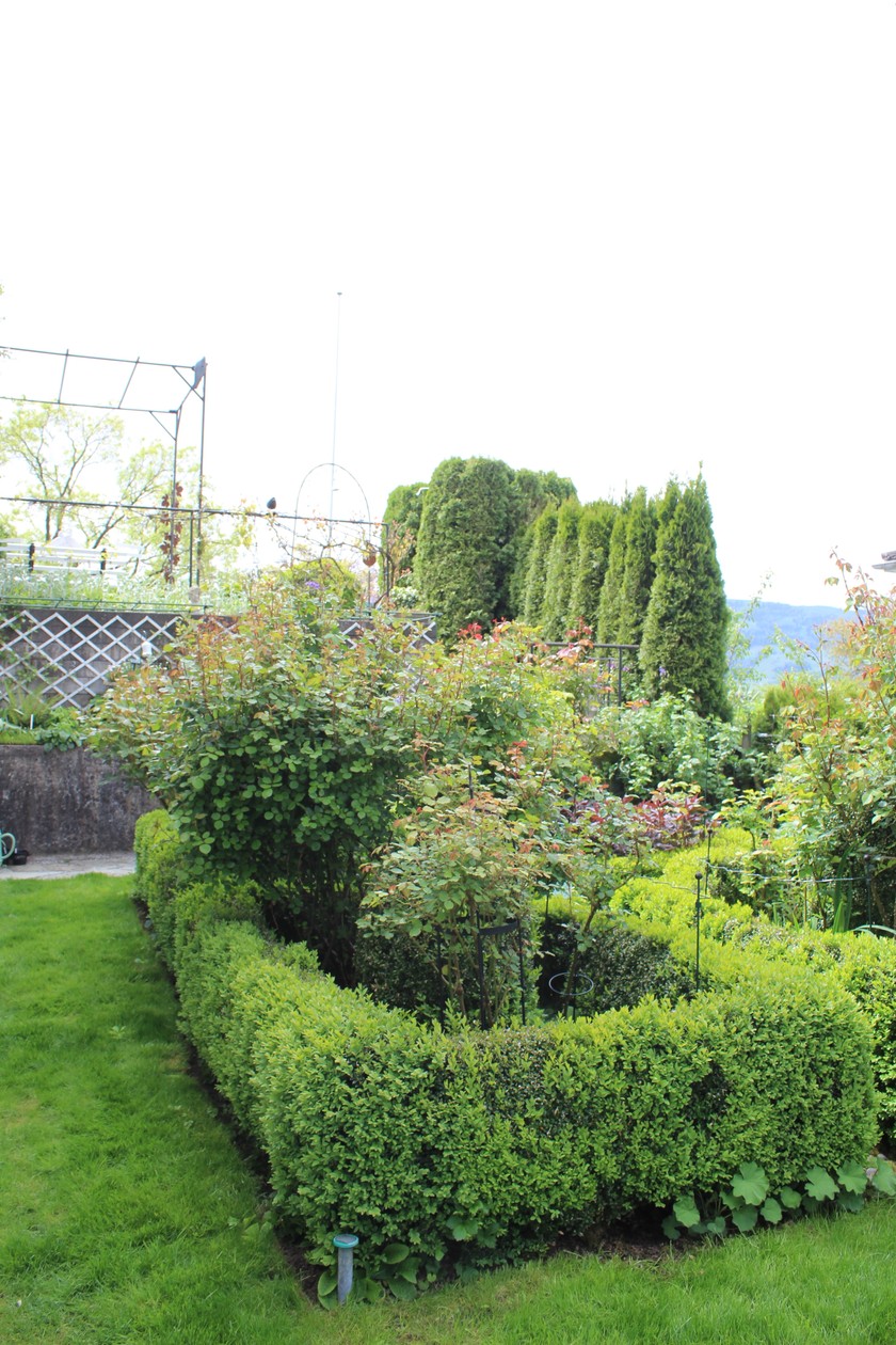 Les buis et les arbustes structurent le jardin.