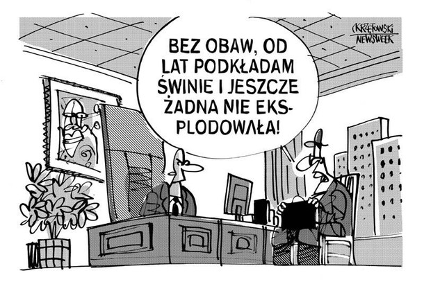 Podkłada świnie haki kampania wyborcza czarny pr