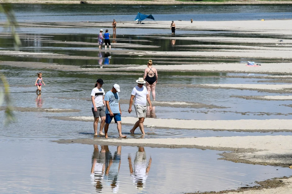 Nizak vodostaj u Novom Sadu