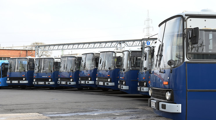 Kapkodtak az Ikarus buszok után a BKV Zrt. átverésén / Fotó: MTI/Máthé Zoltán