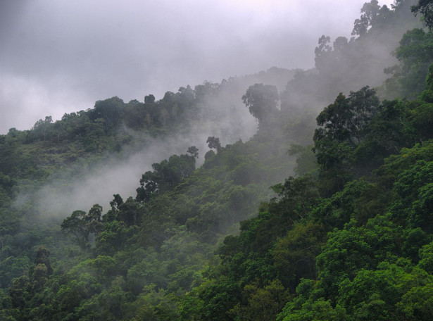 W Amazonii naukowcy odkryli nieznane plemię