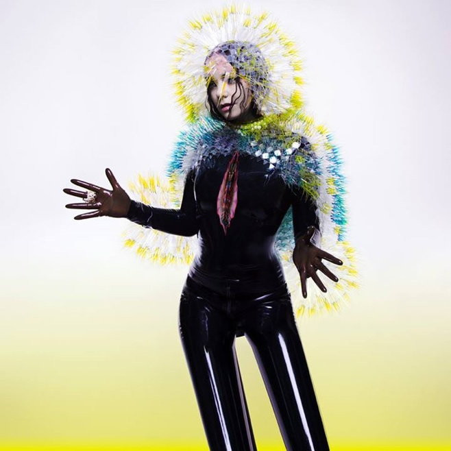 Bjork (fot. okładka płyty "Vulnicura")