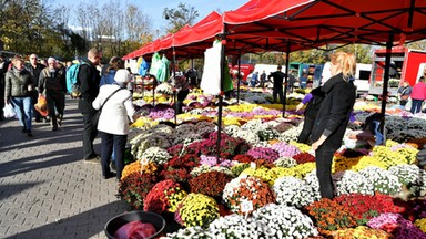 Wrocław przygotowuje się na Wszystkich Świętych. Zmiany w ruchu