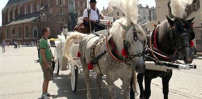 Dorożki wróciły na Rynek