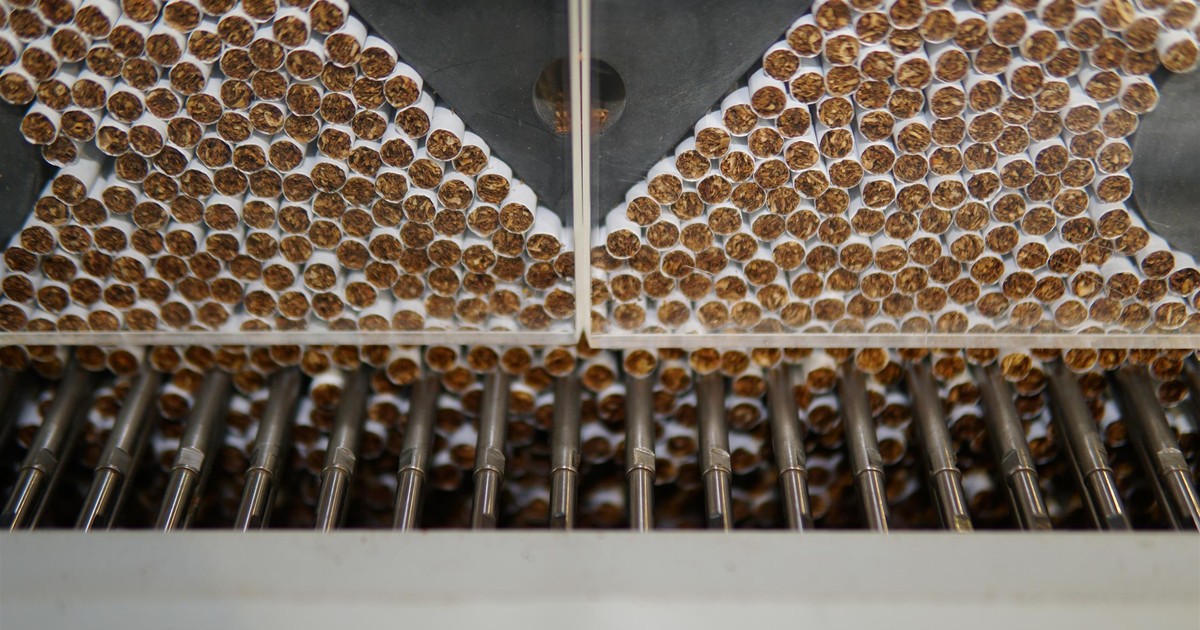 Ogłoszono koniec tytoniowej legendy. W Polsce zatrudniają 1500 ludzi