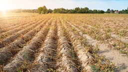 polska ma coraz większy problem z wodą. suszę zauważyliśmy jednak dopi