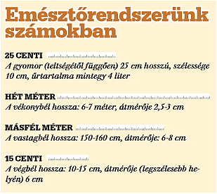 A paroxetin okozhat fogyást?, Hogyan lehet eltávolítani a.