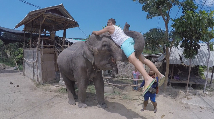 Kiss Ádám Thaiföldön sem kerülte a kalandokat, közelebbi ismeretségbe került egy elefánttal is
