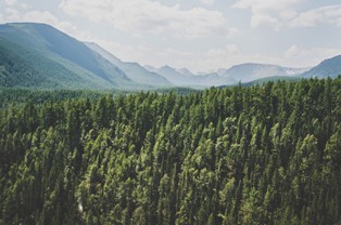 "The Independent": Putin nakazał przesiedlenie prawie 100 tys. Ukraińców w głąb Rosji