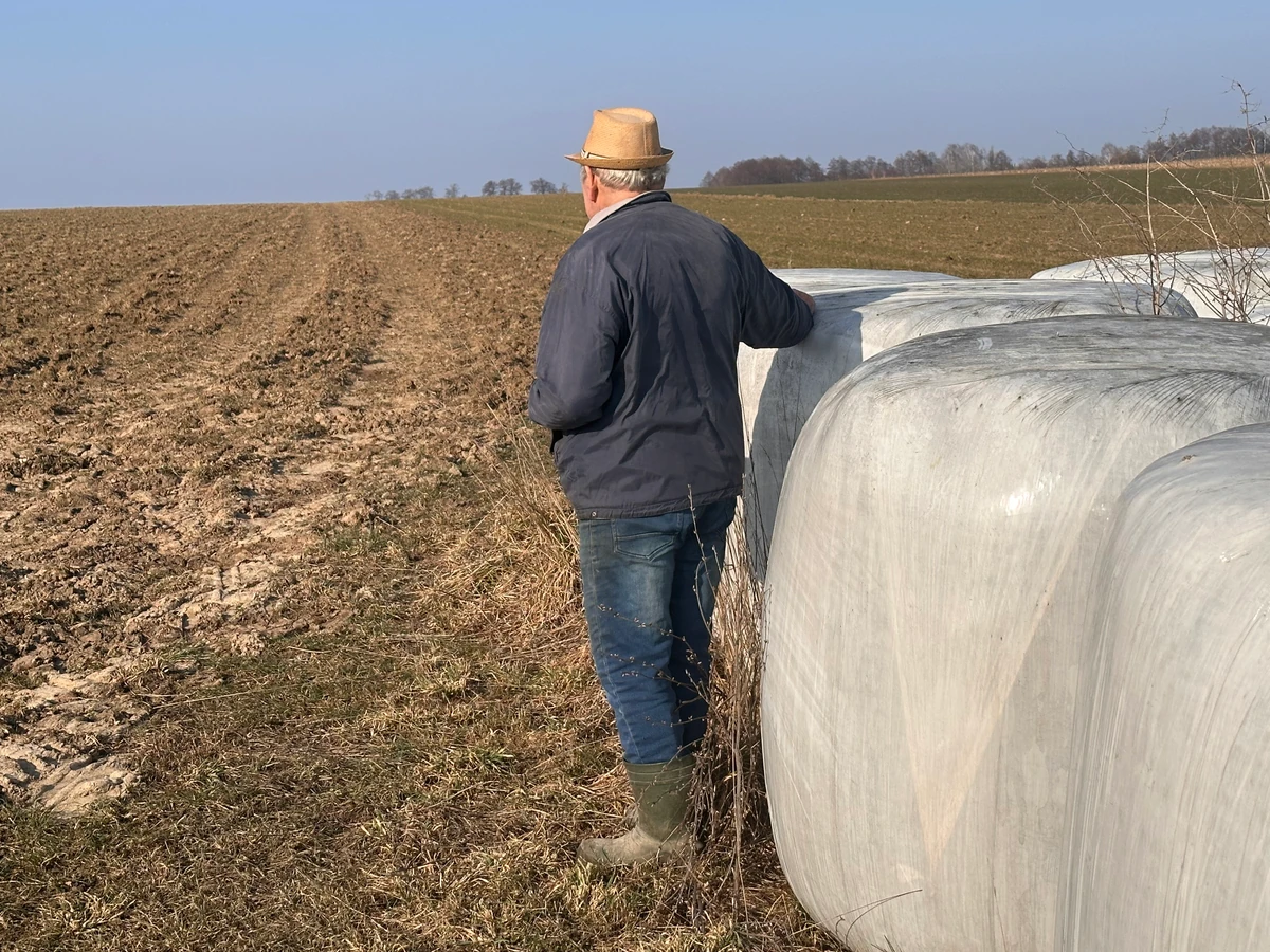 Dopłaty bezpośrednie 2025 – do kiedy dopłaty bezpośrednie? Gdzie i do kiedy złożyć wniosek? Jakie stawki w 2025?