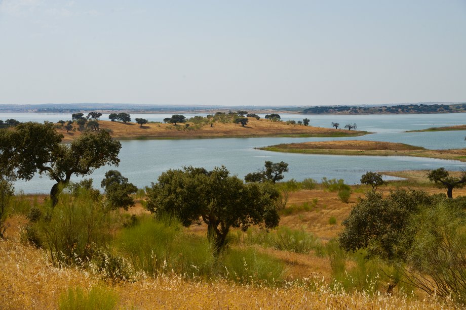 Barragem de Alqueva - sztuczne jezioro w środku wypalonego słońcem Alentejo blisko granicy z Hiszpanią