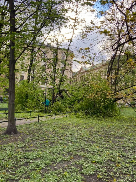 Przewrócone drzewa na plantach w Krakowie