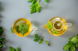 czy herbata może wzmacniać kości? nowe badania dają nadzieję starszym