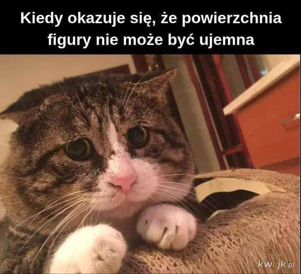 Memy na maturę