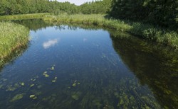 Wyciek ścieków do Czarnej Hańczy. Ruszyło śledztwo