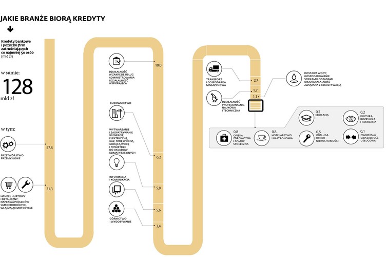 W sumie firm zatrudniające co najmniej 50 osób wzięły kredyty bankowe i pożyczki i wartości 128 mld zł, z czego blisko połowa przypadła na sektor przetwórstwa przemysłowego.