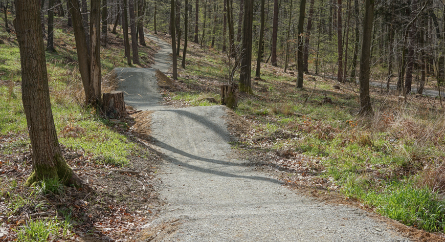 Różnorodność tras robi wrażenie - od szybkich singletracków, przez leśne dukty, aż po strome, górskie odcinki. 