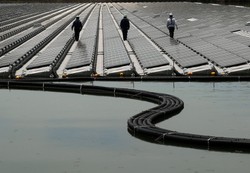 Japoński pomysł na oszczędzanie energii. Obywatele są zachęcani do noszenia golfów