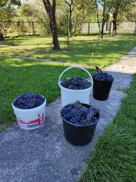 &quot;Sąsiedzi często służą dobrą radą&quot;