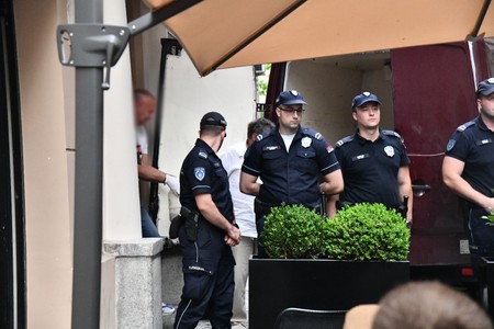 Policija iznosi dokaze iz Dabetićevog stana