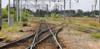 Makabra w Aleksandrowie Kujawskim! Nie żyje dwóch młodych mężczyzn