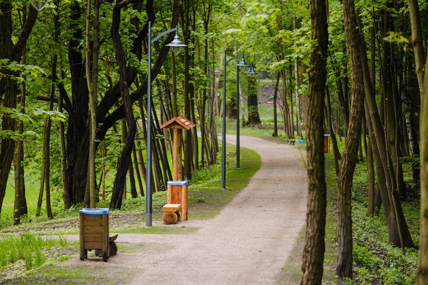 Park Tysiąclecia przeszedł metamorfozę