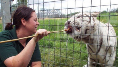 Ő az a gondozó, akit megölt egy tigris az állatkertben