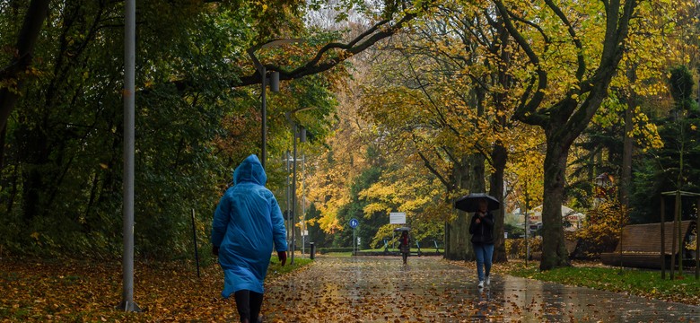 Wyż znad Wysp sunie nad Polskę. Przełom w pogodzie nastąpi już za dwa dni. Czy to koniec z jesienną szarugą?
