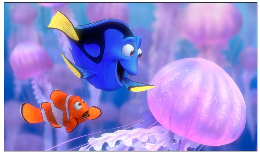 'Gdzie jest Nemo?'