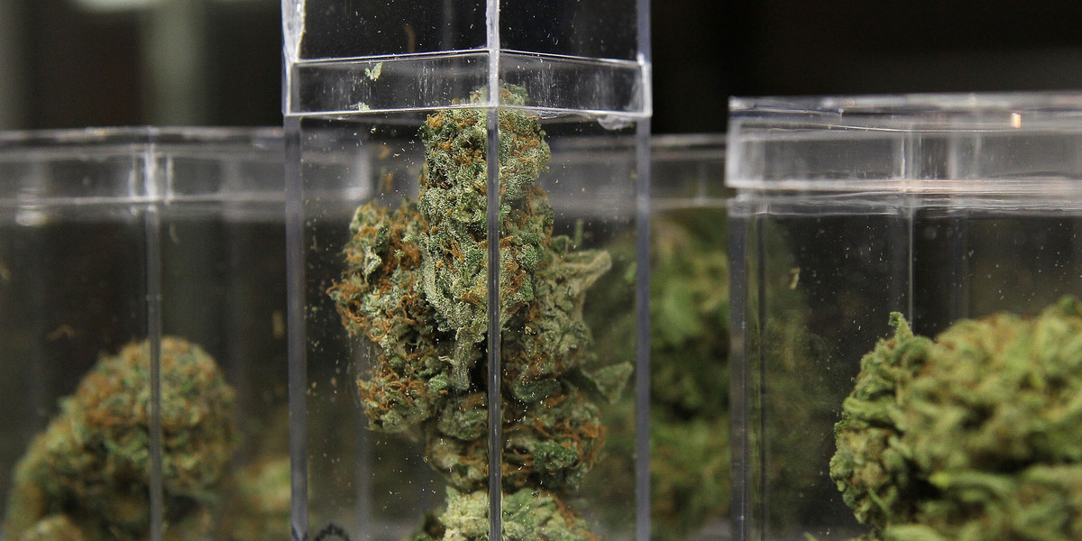 Samples of medicinal marijuana are displayed at the Berkeley Patients Group March 25, 2010 in Berkeley, California.