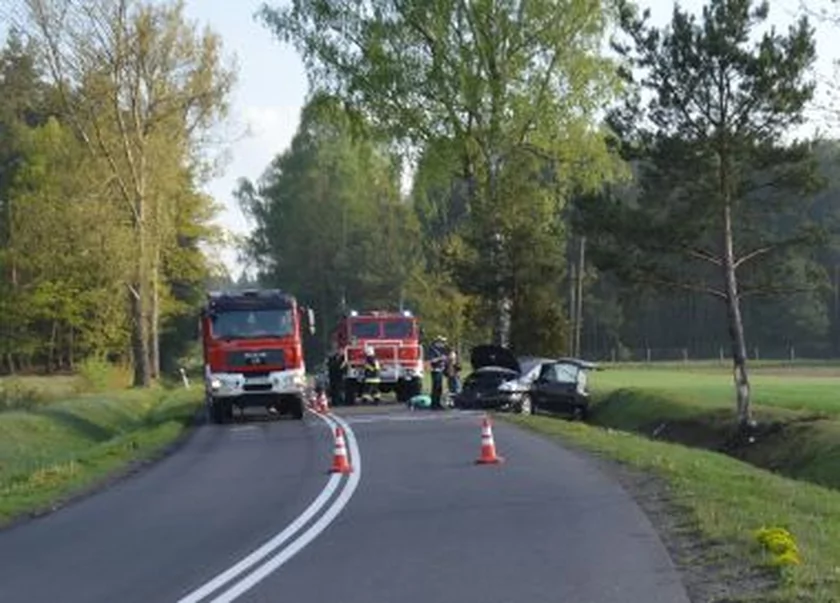 Śmierć Pod Zelowem. Kierowca Renault Uderzył W Drzewo
