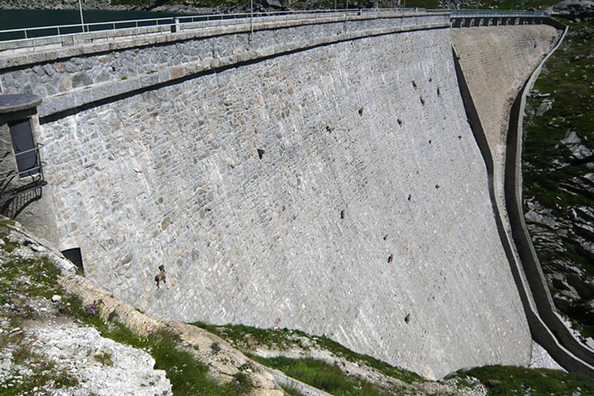 Kozice lepsze niż alpiniści