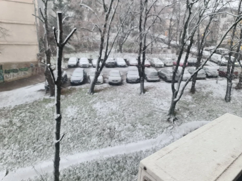 Zabelelo se na Banovom Brdu 