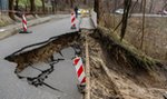 Masowo wycięli drzewa. Skarpa omal nie zabiła mieszkańców