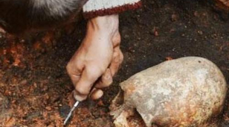 Földönkívüli koponyáját találták meg Ukrajnában?
