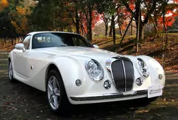 Mitsuoka – japońska marka debiutuje w Europie