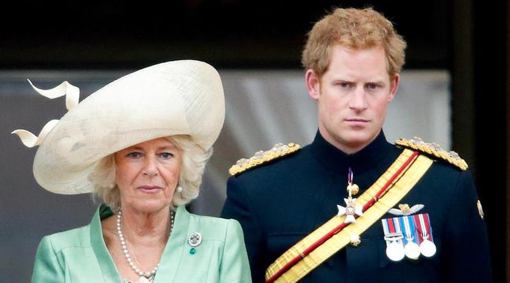 Kamilla királyné berágott Harry hercegre / Fotó: Getty Images