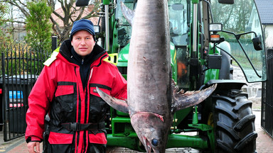 Rybacy złowili wyjątkowy okaz. Ma prawie 2,5 metra i waży ponad 60 kg