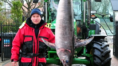 Rybacy złowili wyjątkowy okaz. Ma prawie 2,5 metra i waży ponad 60 kg