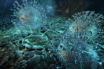 A vírus aktiválódását az immunitás csökkenése, lázas állapot, antibiotikum szedése, menses, stressz, fizikai megterhelés váltja ki általában.