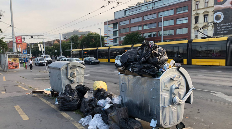 Rengeteg ember fordul meg arra nap mint nap, szembesülve ezzel szeméthalommal. Lassan életre kel... / Fotó: Olvasóriporter