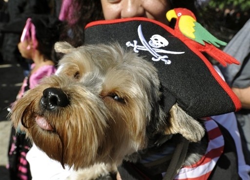 HALLOWEEN DOG PARADE US