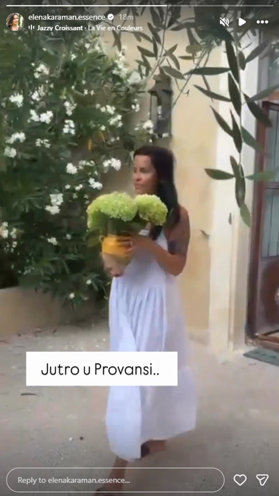 Elena Karić, objava