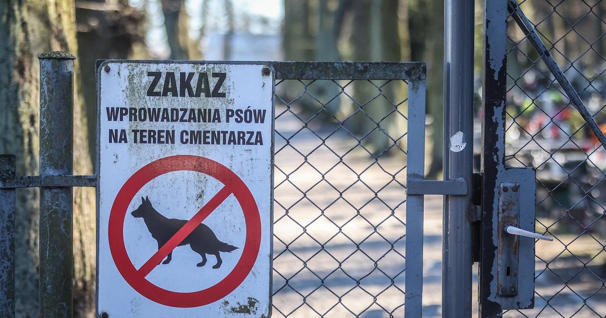 Parafia w Gdyni zakazała wprowadzania psów na cmentarz