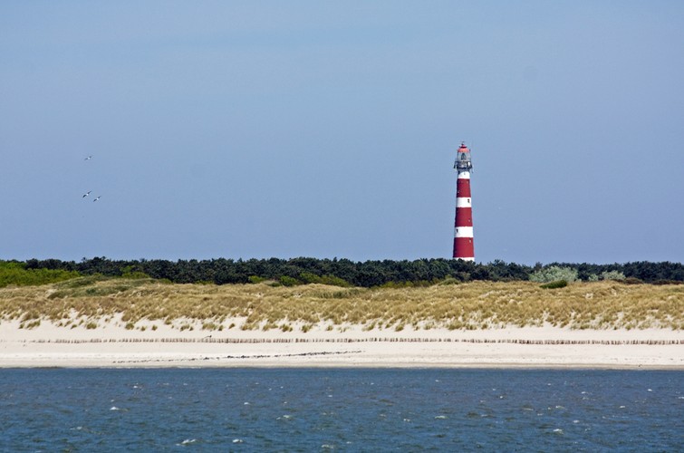 Ameland - wyspa w Holandii we Fryzji w archipelagu Wysp Zachodniofryzyjskich. Na wyspie silnie rozwinięta turystyka. Od strony Morza Północnego wysokie wydmy i piaszczyste plaże.