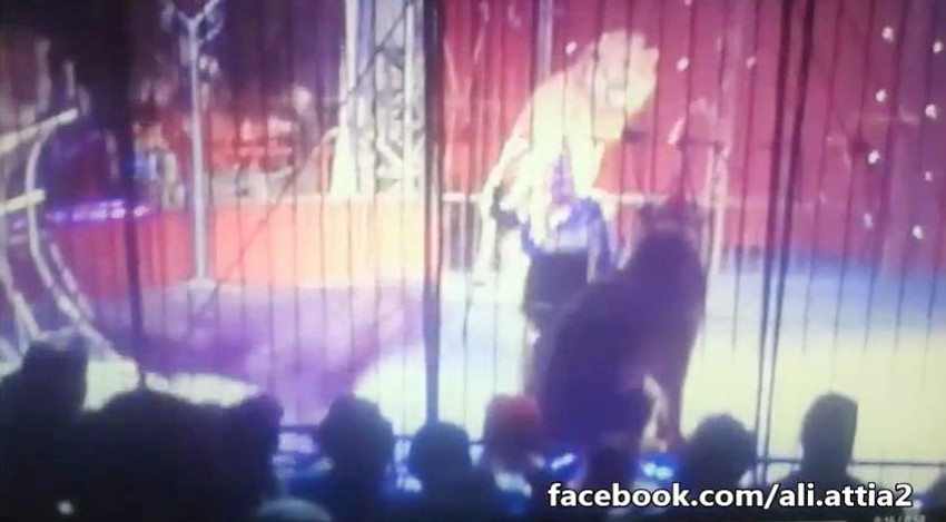 Krotiteljku je lav u trenutku napao