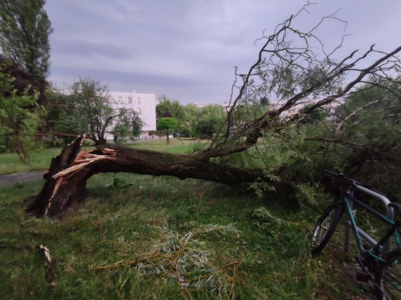 Nawałnica spustoszyła Osiedle Podwawelskie