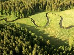 Jeden procent na przyrodę