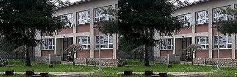 OŠ "Vuk Karadžić" u Ripnju